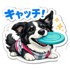 BUDDY BC_20260130214119