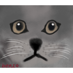 Reona_20260130230533