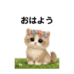 ayrihari_20260131090729