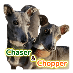 How cute! Chaser and Chopper!