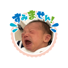 k_20260131130456