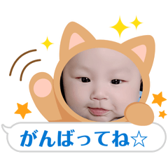 mie_2026