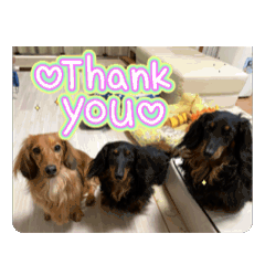 Kotori_20260131172712