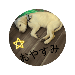 fukuda_20260131210719