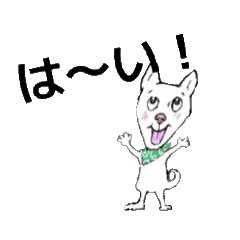 Yumico Hara_20260131231004