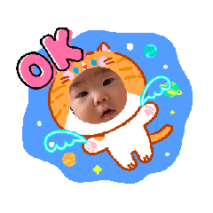 hi taka_20260131173901