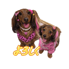 DADGE_20260131214409