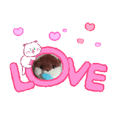 Tsujiyama_20260131210439