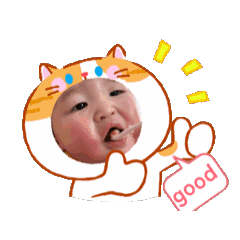 mi-ko_20260131213708