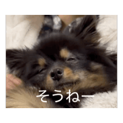 kmari_20260131214125