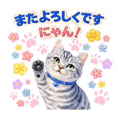 silver cat_20260131110943