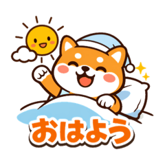 sorara_20260131114455