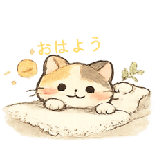 STARtrain_20260131115457