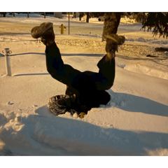 munya_20260131113750