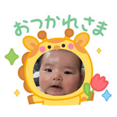 Yazawa_20260131140618