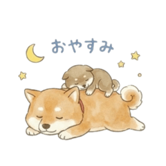 ohagidaisuki_20260131141405