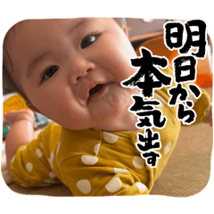 my_20260131120746