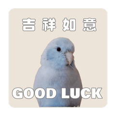 2026超吉摳愛 實用貼圖@