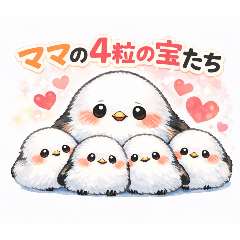 yumichu_20260131121934