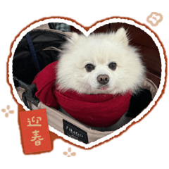 Horse花生Miru 發財2026