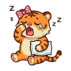 小小老虎的日常