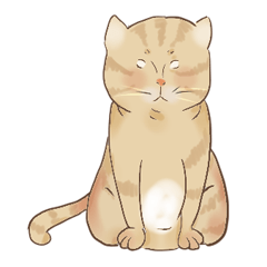 Funny naughty cats 4