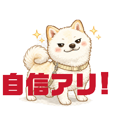 MITSUHIRO_20260131135107