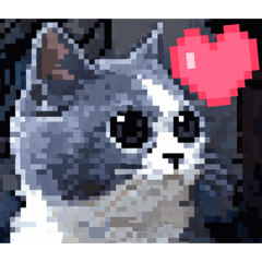 Kenny_20260131134236