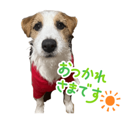 soraso_20260131140012