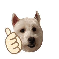 美逗-戽斗西高地