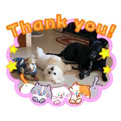 我是可可樂樂生活貼圖1