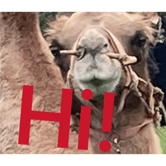 錢Muniの無聊貼圖