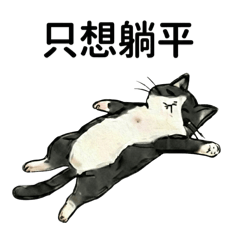 厭世貓咪日常｜只想躺平的聊天用語