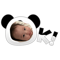 sumire_20260131142825