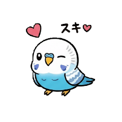 Kothin_20260131143909