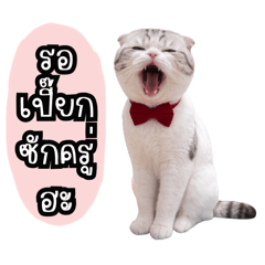 Cheraem_20260131130719