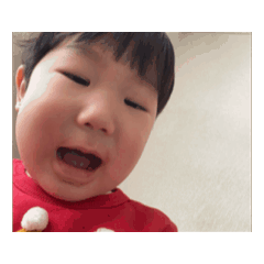 rinko_20260131191142