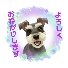 kawada_20260131152248