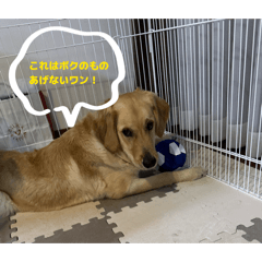 gixtc990_20260131153645