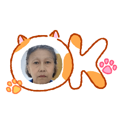 onstric_20260131140730