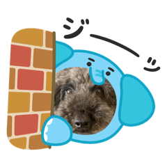 使ってねお願いします