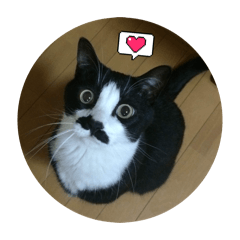 nonono_20260130213110