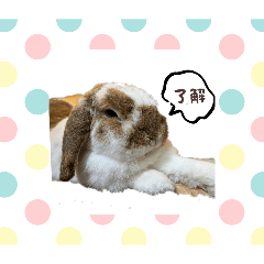 nori.t_20260131163153