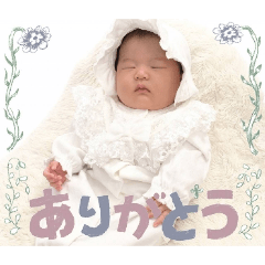 Hiiichan_20260131163104