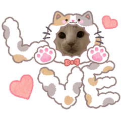 yuzu_20260131181023