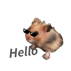 Haruka_20260131181812