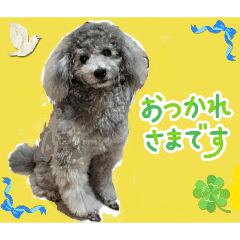 kumiko_20260131171053