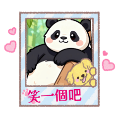 熊貓的微笑日常