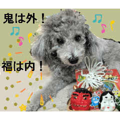 kumiko_20260131171437