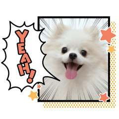 軒軒專用貼圖唷